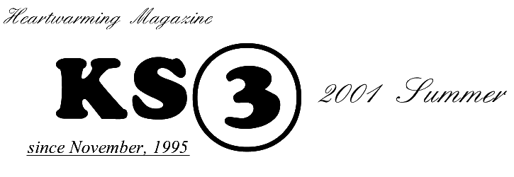 KS3S
